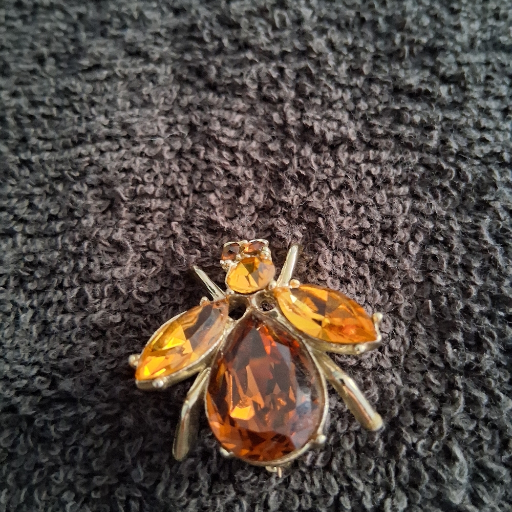 Brooch Rhinestone Fly